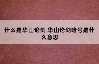 什么是华山论剑 华山论剑暗号是什么意思